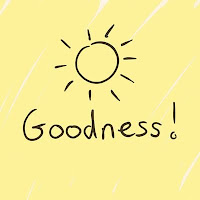 356 Developers for NGO