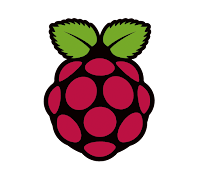 291 Raspberry Pi