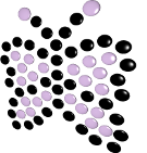 143 Hamakor עמותת המקור