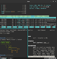429 Terminal 7 with Benny Daon