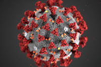 388 Remote Work (Coronavirus special) With Shlomi Noach