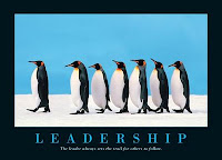 162 Software Lead Weekly