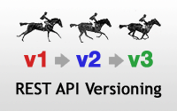 242 Fogcast 15 - API Versioning